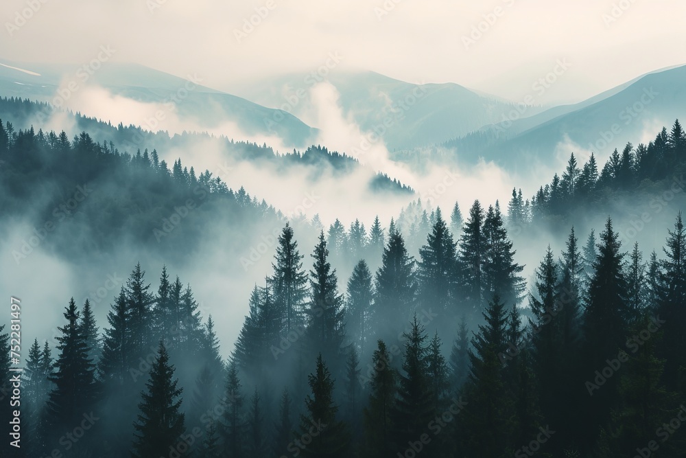 Foggy forest in the mountains Foggy forest in the mountains