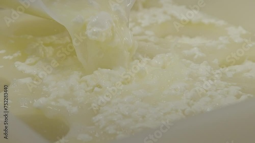 Cheese making process, removing whey from milk