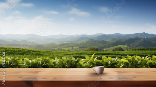 Empty wooden table with spring background. Wooden table terrace with Morning fresh atmosphere nature. Park with garden bokeh background with country outdoor, Template mock up for display of product