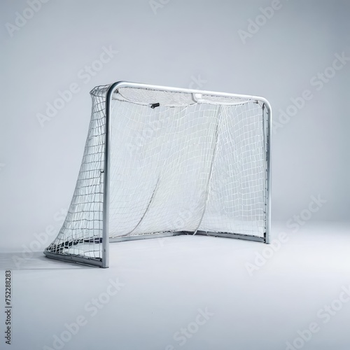 football hockey  goal net