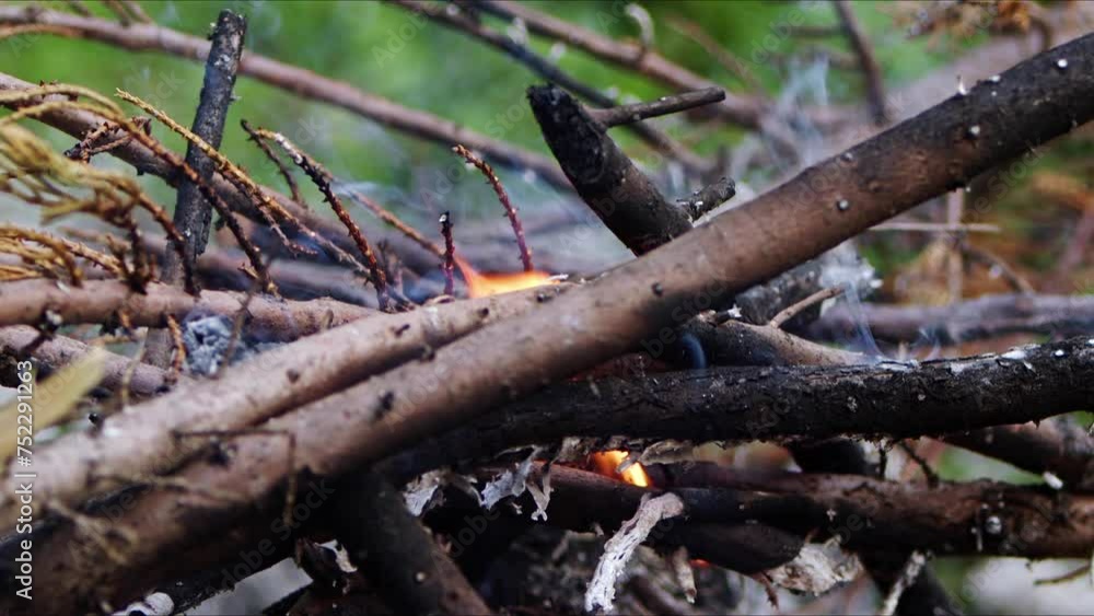 Abstract Oak Wood Bonfire in Flames Smoke and Ashes Abstract Oak Wood Bonfire in Flames Smoke and Ashes