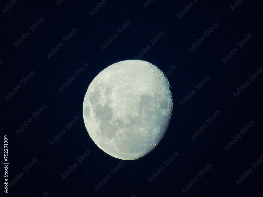 Fototapeta premium moon