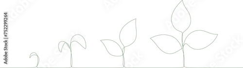 Plant growth process continuous line art style. vector Illustration isolated on tranparent background