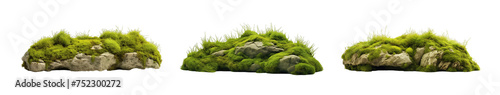 Collection of set Green Moss covered meadow on a rock isolated on transparent background. PNG file, cut out 