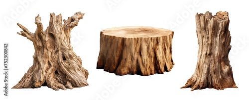 Collection of set Tree trunk isolated on transparent background. PNG file, cut out	