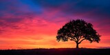 Silhouette of a tree against a vibrant sunset sky. Concept Nature Photography, Sunset Silhouettes, Tree Silhouettes, Outdoor Landscapes, Colorful Skies