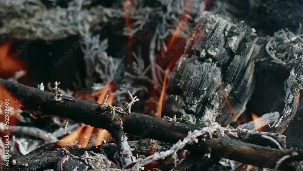 Abstract Oak Wood Bonfire in Flames Smoke and Ashes