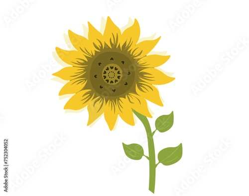 Sunflower isolated on white background. Cute sunflower flower vector illustration. Sunflower Agricultural Plant with Yellow Petals and Seeds Vector Set. agriculture and farming
