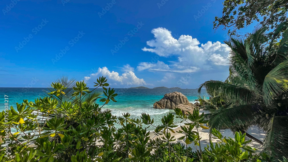 Seychelles - La Digue - Beach - Ocean - Palmtree
