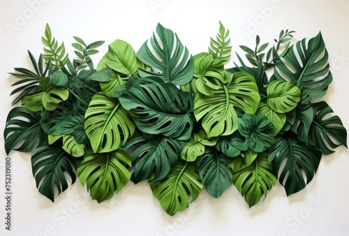Monstrous Mongolian jungle leaves serve as indoor decoration and wall decor.