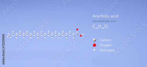 arachidic acid molecule, molecular structures, saturated fatty acid, 3d model, Structural Chemical Formula and Atoms with Color Coding photo