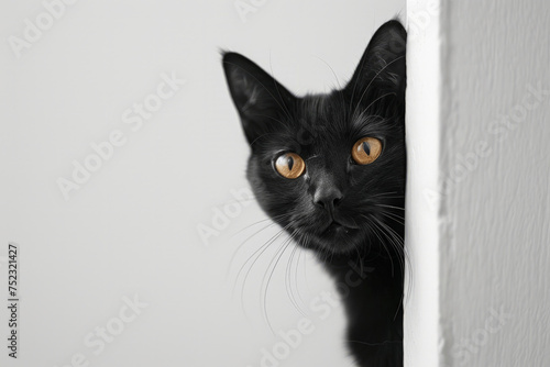A mischievous black cat peeks out from behind a weathered stone wall, its bright eyes surveying the world beyond © AI Exclusive 