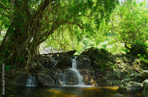 The water stream that flows from Sarika Waterfall Within Khao Yai National Park, Nakhon Nayok, Thailand, water flows throughout the year. And there are trees growing up nearby that look beautiful.