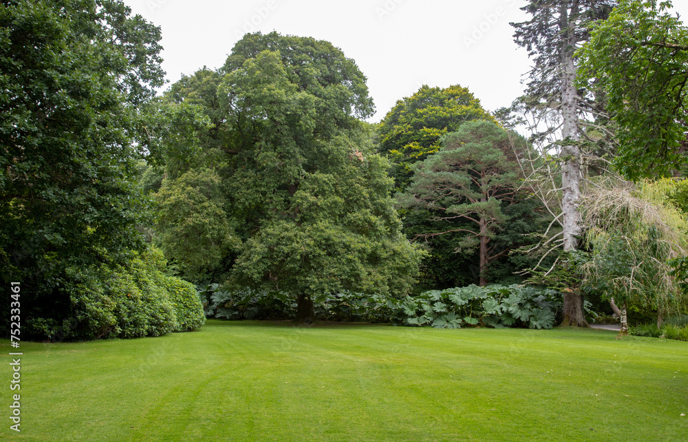 Muckross Garden in the Killarney National Park, County Kerry, Ireland