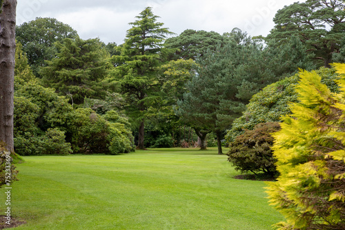 Muckross Garden in the Killarney National Park, County Kerry, Ireland