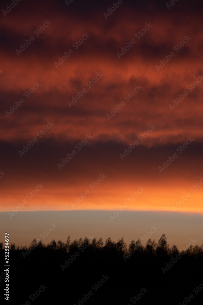 Dramatic sunset and silhouette of trees on the horizon