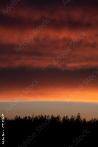 Dramatic sunset and silhouette of trees on the horizon