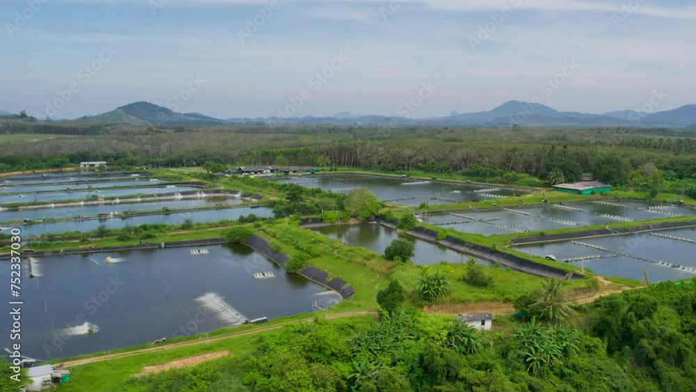 Power windmills flow oxygen into the pond. Aerial view of shrimp farmland countryside. The landscape of aquaculture environmental agriculture farm. Power windmills flow oxygen into the pond. Aerial view of shrimp farmland countryside. The landscape of aquaculture environmental agriculture farm.