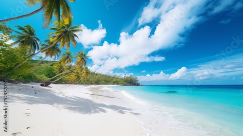 Tropical Paradise  White Sand Beach  Palm Trees  Turquoise Waters - Canon RF 50mm Captured