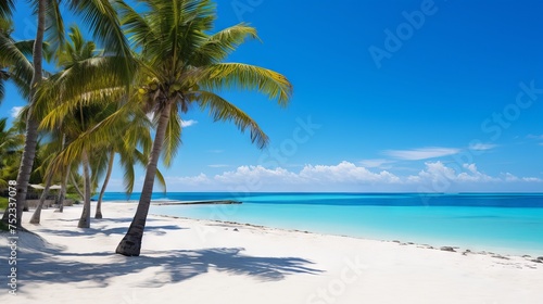 Fototapeta Naklejka Na Ścianę i Meble -  Tropical Paradise: White Sand Beach, Palm Trees, Turquoise Waters - Canon RF 50mm Captured