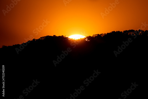 close up tree on mountain peak  sunset time. © nitinut380
