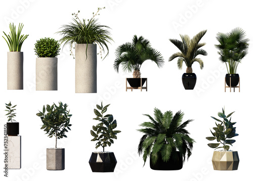 3D   render   various types of decorative plant pots © jomphon