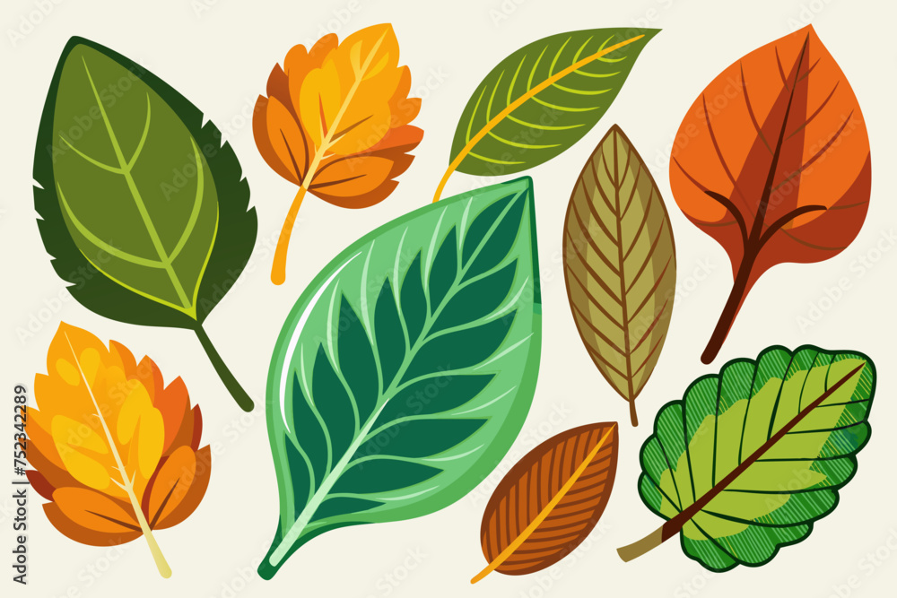 Vector collection: set of leaves Vector collection: set of leaves