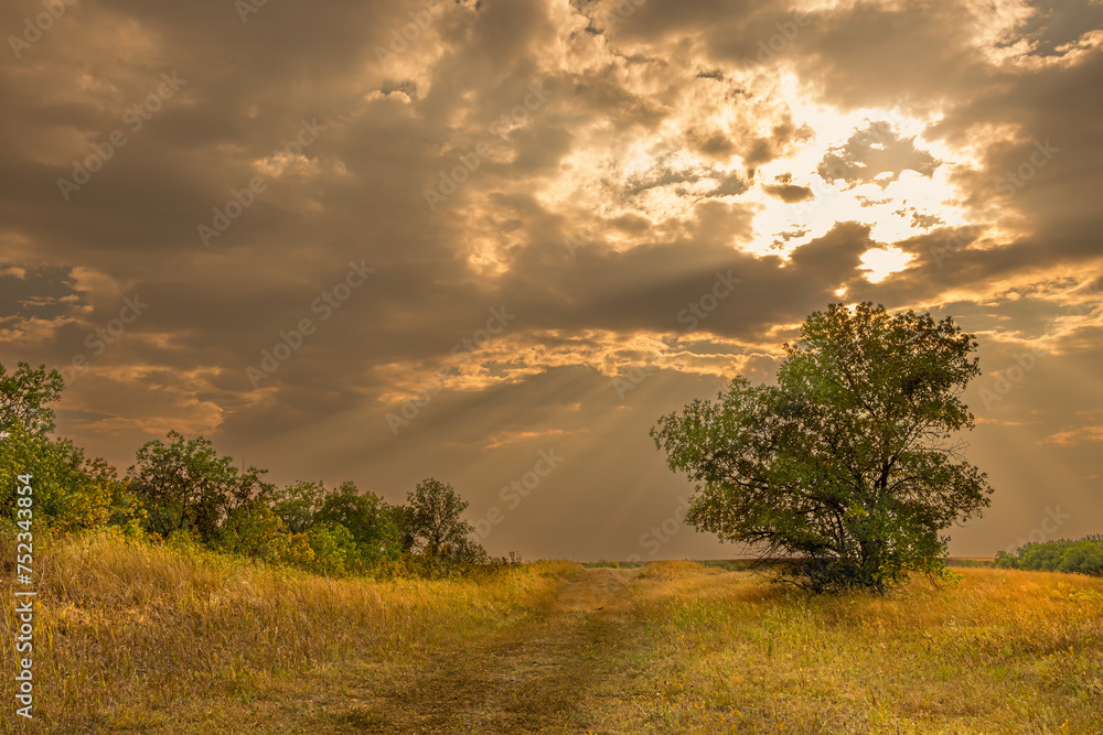 Fototapeta premium Moody Sepia Sunset