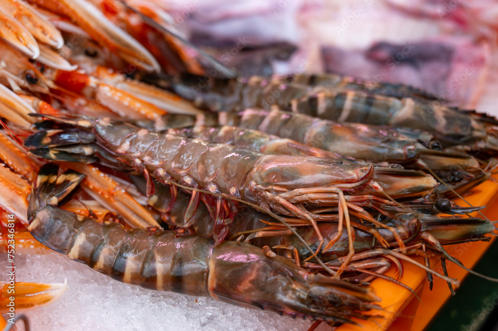 Assortment of fresh daily catch of prawns, shrimps, fishes, seashells, molluscs on ice on fish market in France Assortment of fresh daily catch of prawns, shrimps, fishes, seashells, molluscs on ice on fish market in France