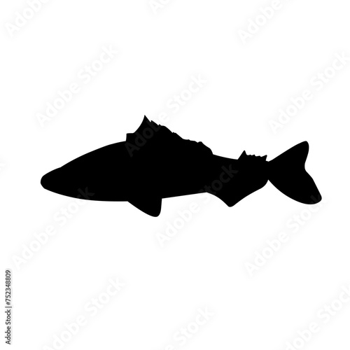 Fish Silhouette