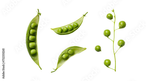 Sugar Snap Peas Isolated on Transparent Background, Top View Flat Lay Nutrition Illustration