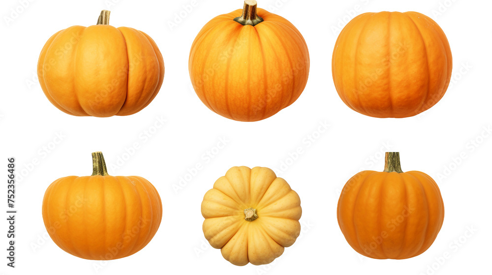 Pumpkin Collection: Rustic Autumn Decorations for Halloween & Thanksgiving, Top View Isolated on Transparent Background - 3D Digital Art Illustrations
