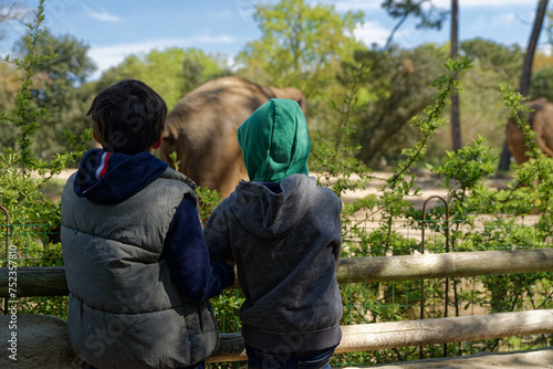 Wallpaper Mural Enfants au zoo qui regardent les animaux Torontodigital.ca