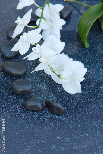White orchid and black spa stones on the gray background.
