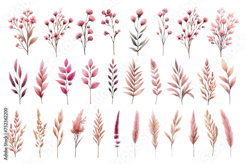 Pink dried flower watercolor illustration material set photo