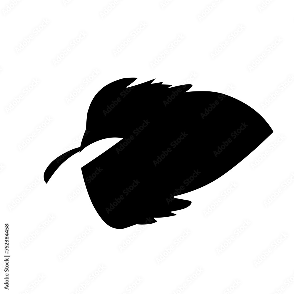 Leaf Silhouette Black and White Leaf Silhouette Black and White