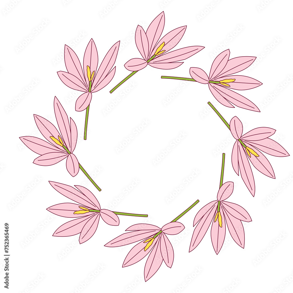 A crocus wreath PNG transparent background in a clean hand-drawn spring floral concept, illustration A crocus wreath PNG transparent background in a clean hand-drawn spring floral concept, illustration