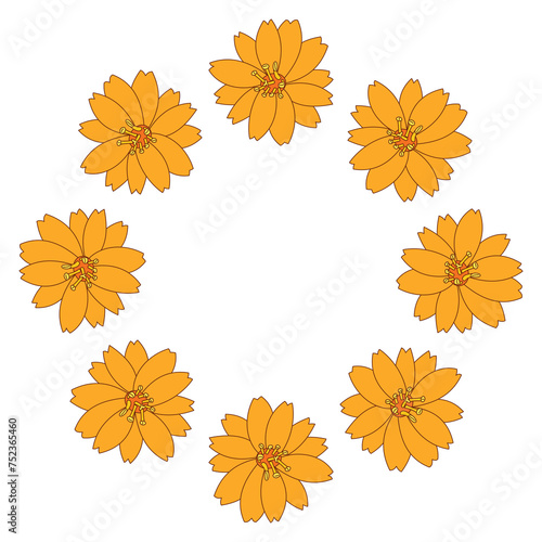 An orange cosmos wreath PNG transparent background in a clean hand-drawn spring floral concept  illustration