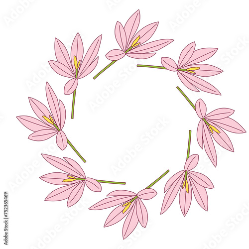 A crocus wreath PNG transparent background in a clean hand-drawn spring floral concept  illustration