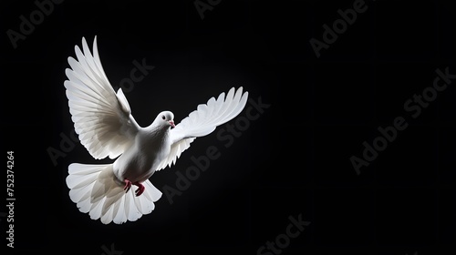 Freedom Wings: Celebrating Peace and Harmony with White Dove Flight