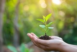 Eco-friendly concept image A small green plant growing in the palm of a hand against a blurred natural background Symbolizing care and protection for the environment