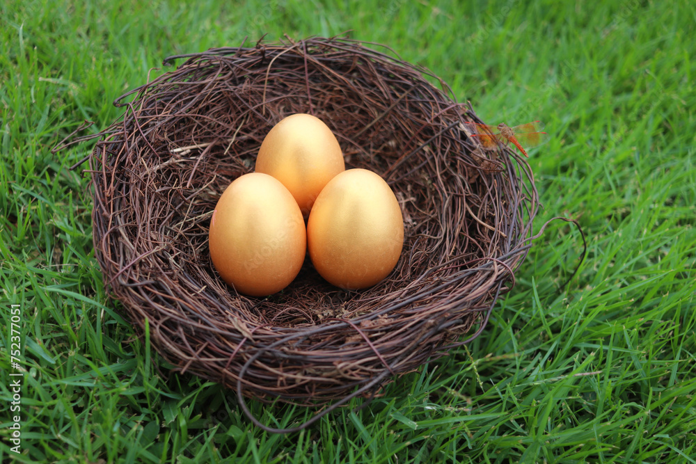 Three golden Easter eggs in the nest with dragonfly on green grass nature garden in wild meadow backyard. Greetings and presents for Easter Day. Happy spring holiday. Three golden Easter eggs in the nest with dragonfly on green grass nature garden in wild meadow backyard. Greetings and presents for Easter Day. Happy spring holiday.