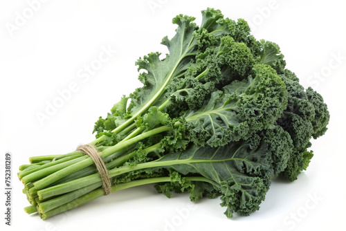 kale isolated in white