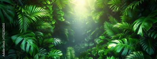 Sunlight Filtering Through Trees in Jungle