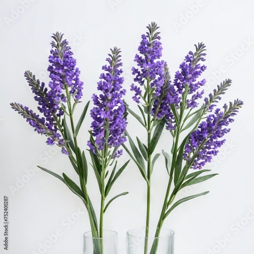 bunch of lavender flower