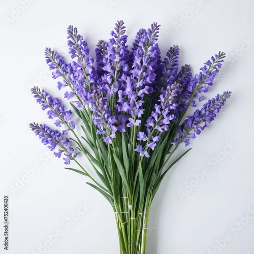 bunch of lavender flower