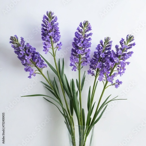 bunch of lavender flower