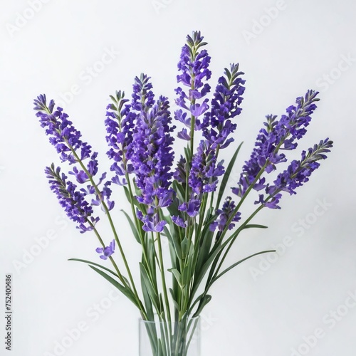 bunch of lavender flower