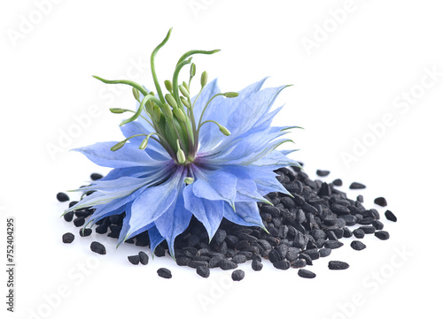 Black cumin flowers with seeds in closeup