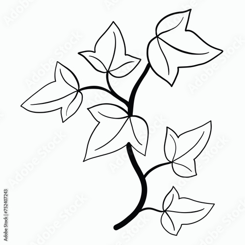 Floral ivy drawing decorative ornament flat design. © tanarch
